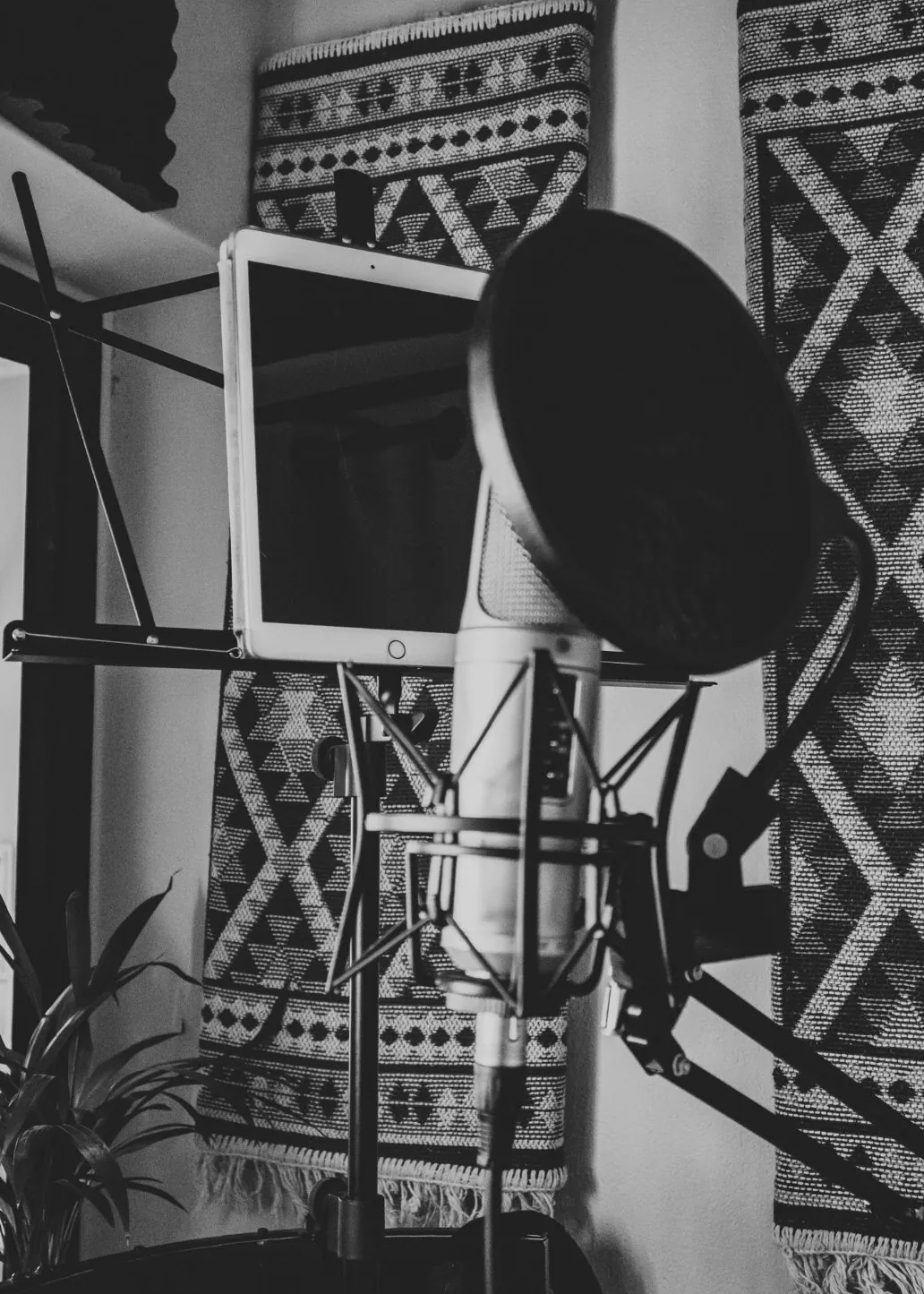 Recording booth with microphone